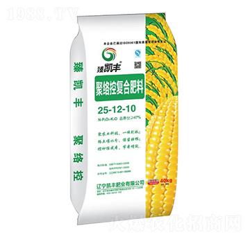 �۽j�؏ͺϷ���25-12-10-��P�S-�P�S�ʘI(y��)