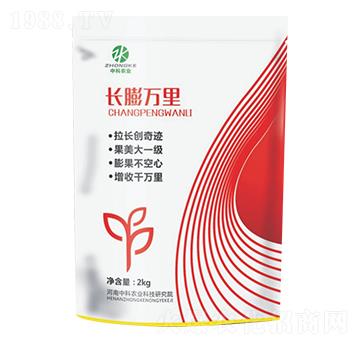 �L���f�����-�п��r(n��ng)�I(y��)