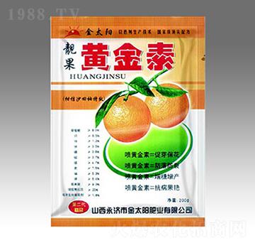 �n���S����-��̫ꖷʘI(y��)