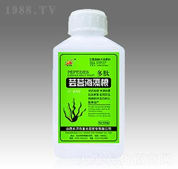 �|̦�����-��̫ꖷʘI(y��)