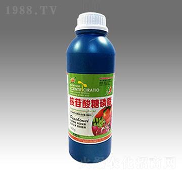 ����������֬-��̫ꖷʘI(y��)