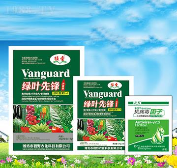 綠葉先鋒1+1-植圣-碧野農化