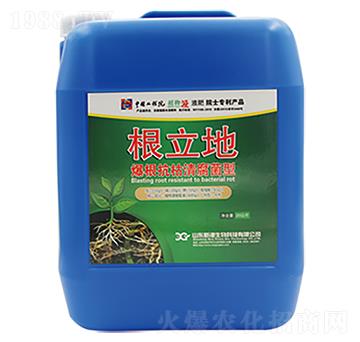 ���������帯����-������-�¸�����