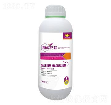 �Ǵ��}�V-��M(m��n)��