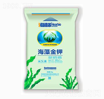 ������-�T�S�@