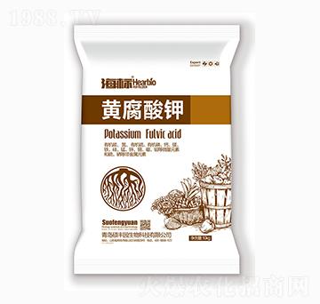 �S�����-����(bi��o)-�T�S�@