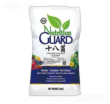 ʮ�˾�-���i����