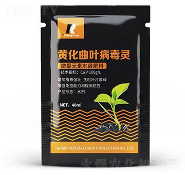 �S�����~�����`-�J�S����