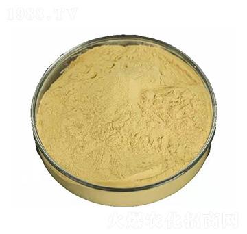 �����Ƿ�ĩ-��?ji��n)����r(n��ng)