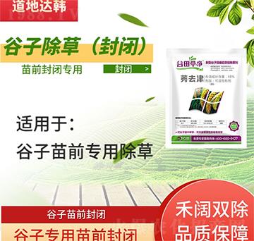 ���ӳ��݄�-������ǰ-���ӌ�(zhu��n)��-����݃�-���n