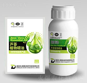 �M���J�Cֲ�ﾫ��-�����ʘI(y��)