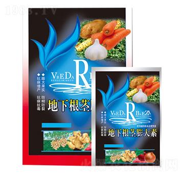 地下根莖膨大素-華諾聯(lián)邦