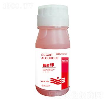 �Ǵ��-�~����