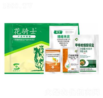 ���݄��ײ�-���Tʿ-�S�՘�