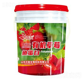 有機(jī)草莓魚蛋白-貝能生物