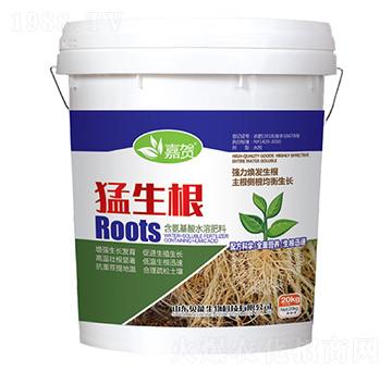 含氨基酸水溶肥料-猛生根-貝能生物