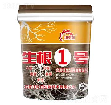 ����ֲ����΢�������-����1̖(h��o)-�~����-��������