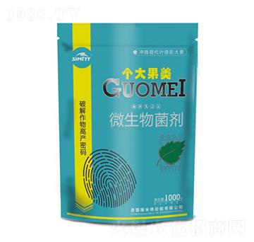 1000g΢������� ������� ˹����