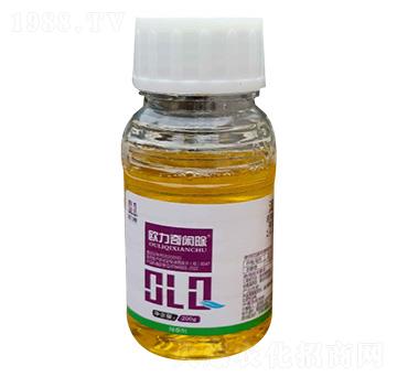 32%���ᡤ�ݸ��-���P��