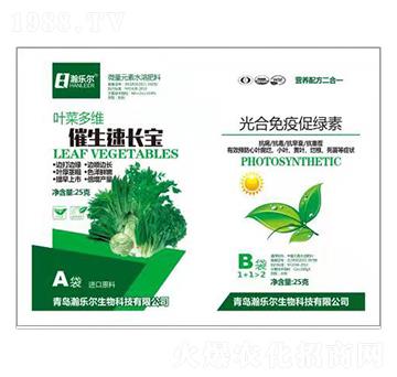 �~�˶�S�������L��+������ߴپG�� 嫘���