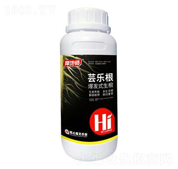 ���l(f��)ʽ���� �|���� Ħ�؎�