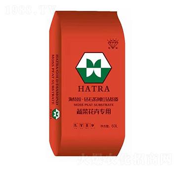 �߲˻��܌��� �@ʯϵ�мt�@���| ������