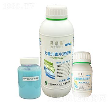 �̴�ʩ����Ԫ����� ���(gu��)�r(n��ng)�I(y��)