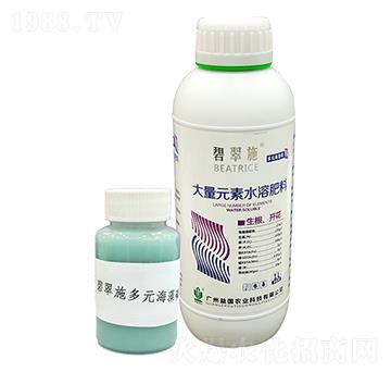 �̴�ʩ����Ԫ������ ���(gu��)�r(n��ng)�I(y��)