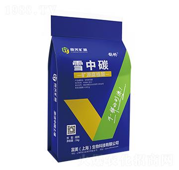 �o��ѩ��̼ �VԴ��ֲ�� ����