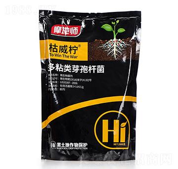 ��ճ�(l��i)ѿ�ߗU�� ������ Ħ�؎�