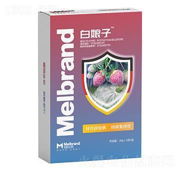 �׷۲����P����Ч ������ ������