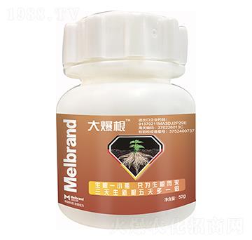 �󱬸� ����(l��)��