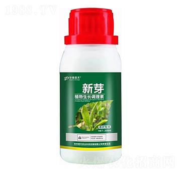 茶葉專用植物生長調(diào)理素 新芽 普天農(nóng)業(yè)