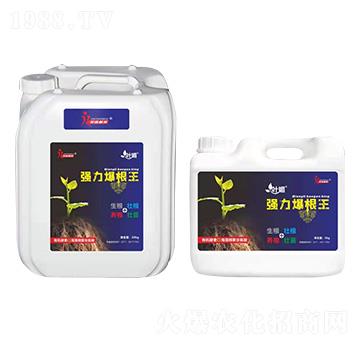 強力爆根王-葉媚-榮鑫植保