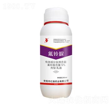 5%�����-���A-�t��ˎ�I(y��)