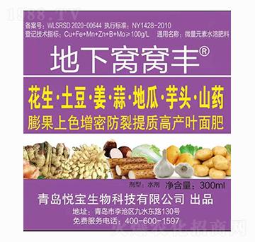 ���¸C�C�S ��������