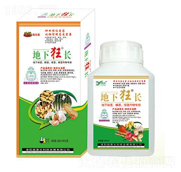 ���K�o���[�o�����o����� ���¿��L(zh��ng) ����