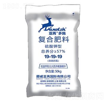 ������͏ͺϷ���19-19-19 ���۶�ʩ ���ۇ��H