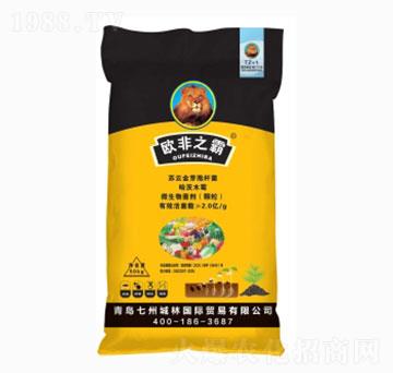 �����طN��-�W��֮��