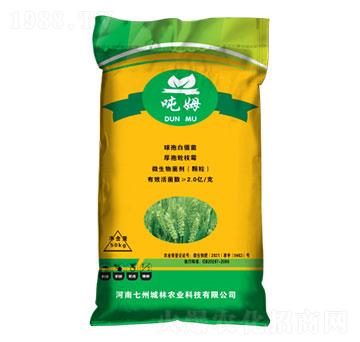 �����͹��ܷ�-��ķ