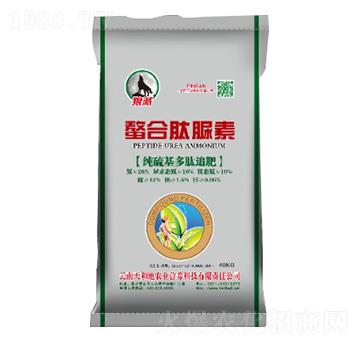 ���������׷��-����������-����