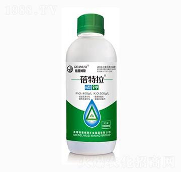 ���������-�|���r(n��ng)�I(y��)