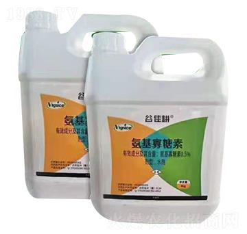 ����������-�ȼѸ�-�S��{˹