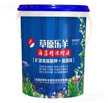 海藻精濃縮液-草原樂(lè)羊-綠禾生物