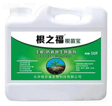 ��������΢�������-���猚-���ร