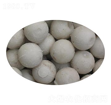 ���w���ͷ�-��M��