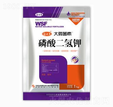 ��������-��΢����-��؁�