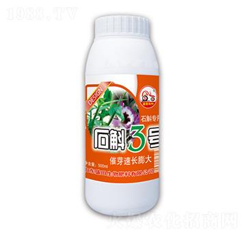 500mlʯ������3̖(h��o)-ʢ������