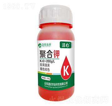 �ۺ��-����-�����r�I(y��)