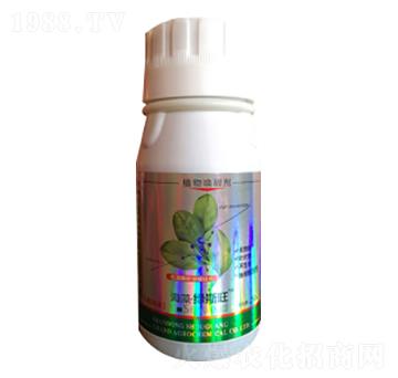 ����G˹��-�ն���